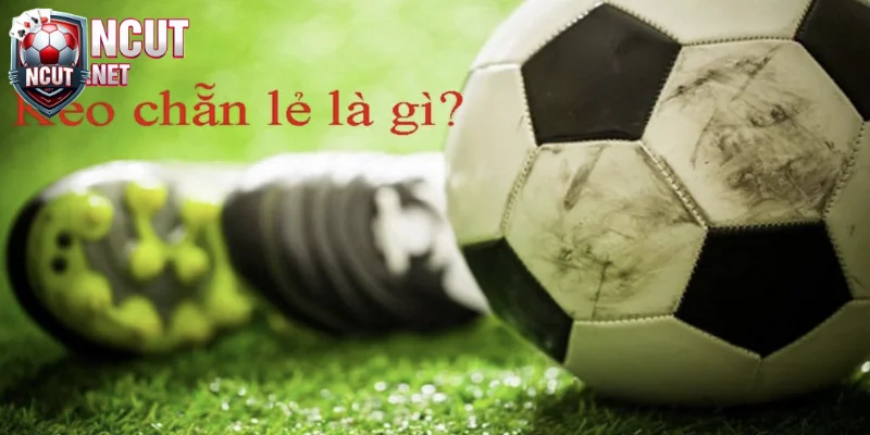 Khái niệm và bản chất của kèo chẵn lẻ bóng đá