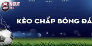 Kèo chấp 2.5 và nghệ thuật săn thưởng từ các trận cầu chênh lệch 