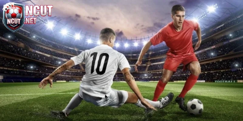Quy trình các bước đặt cược cho người mới